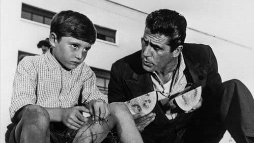 Das Fenster zum Lunapark Bild 1