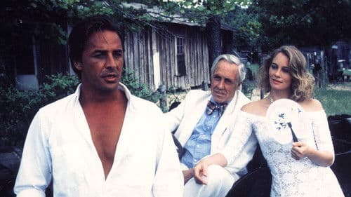 Flammender Sommer Bild 3