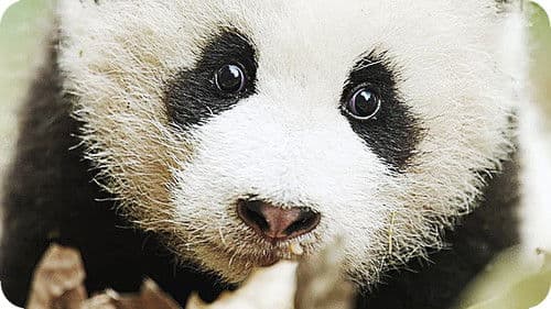 Expedition China Bild 4