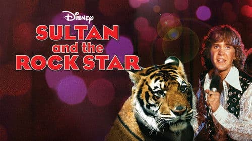 Sultan and the Rock Star Bild 4