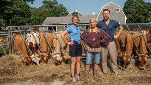 Katie Fforde: Wachgeküsst Bild 1