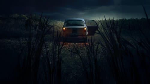 Das Monster von Florenz Bild 2