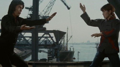 帰って来た女必殺拳 Bild 4