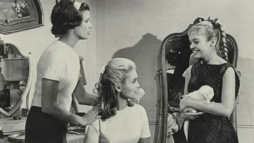 Kennwort Kätzchen Bild 2