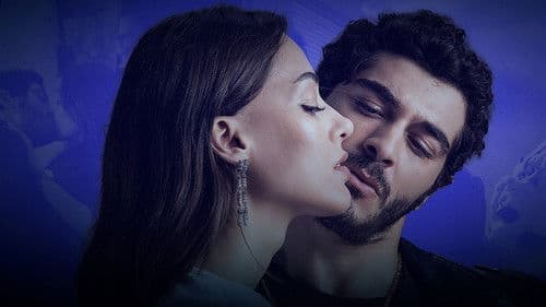 Yarım Kalan Aşklar Bild 7