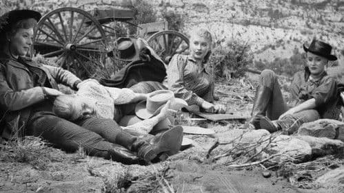 Flintenweiber Bild 1