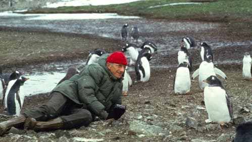 Reise ans Ende der Welt Bild 4