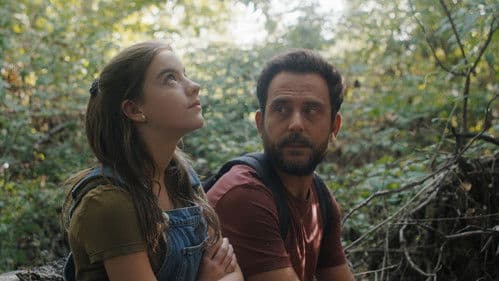 Les perseides Bild 8