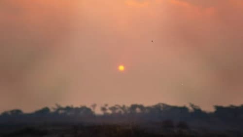 Amazônia: Entre a Vida e a Morte Bild 3