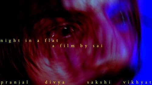 NIGHT IN A FLAT Bild 4