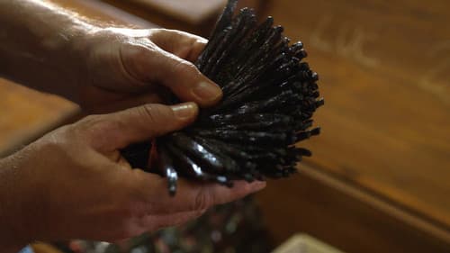 Vanille, les secrets d'un parfum Bild 2