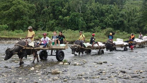 Special Delivery Bild 5