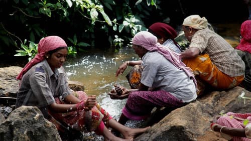 மேற்குத்தொடர்ச்சி மலை Bild 7