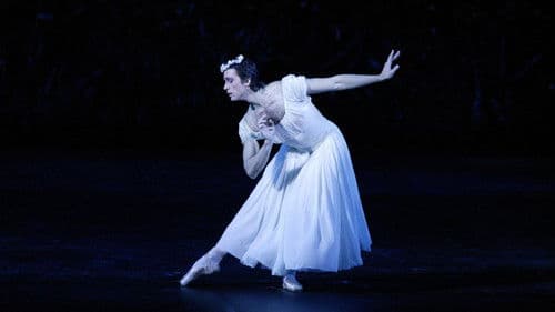 Bolshoi Ballet: The Bright Stream Bild 2