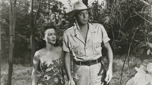 Hölle am Kongo Bild 1