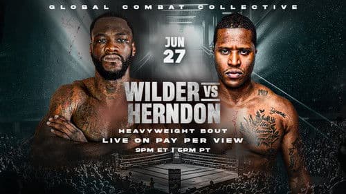 Deontay Wilder vs. Tyrrell Herndon Bild 1