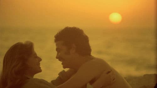 צ'רלי וחצי Bild 3