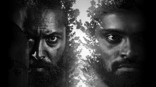 ரெட் சாண்டல் வுட் Bild 1