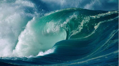 10 Things You Didn't Know About... Bild 2