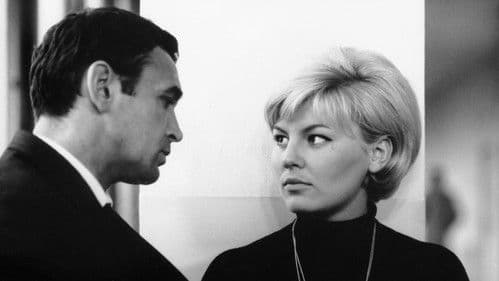 Hra bez pravidel Bild 1