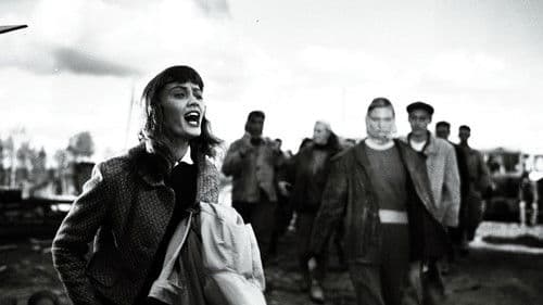 Vihmas ja päikeses Bild 2