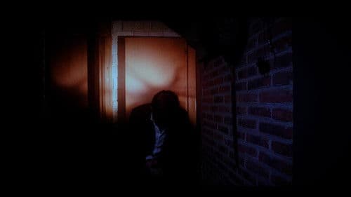 Luz de Penumbra Bild 3