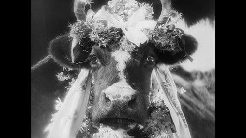 Die Generallinie Bild 3