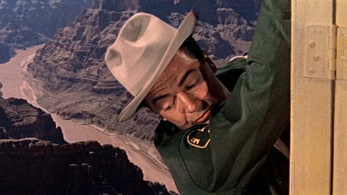 Der Mann aus Arizona Bild 1