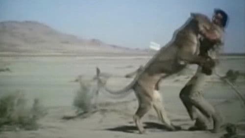 Escape from Angola Bild 1