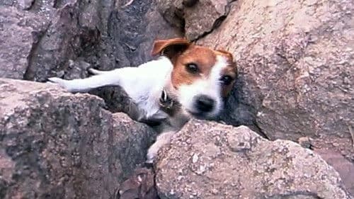 Front Range Freaks Bild 3