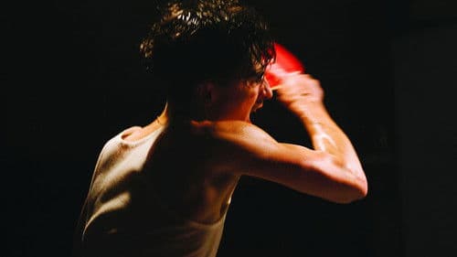 Marty Supreme Bild 5