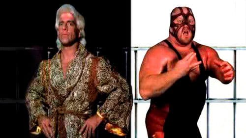 WCW SuperBrawl IV Bild 1