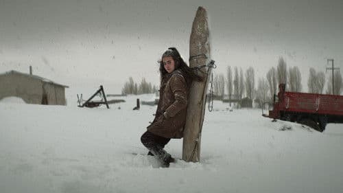 Auf trockenen Gräsern Bild 6