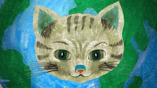 Kocour Mour poznává své příbuzné Bild 1