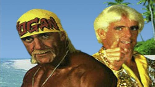 WCW Bash at the Beach 1994 Bild 1