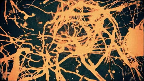 Slow Dancing on the Red Floor Bild 2