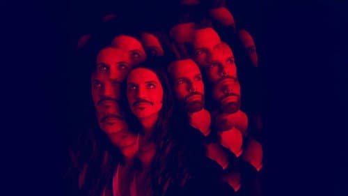Placebo: This Search for Meaning Bild 2