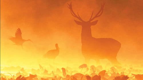 Gemenc - Árterek világa Bild 4