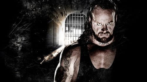 WWE No Way Out 2007 Bild 3