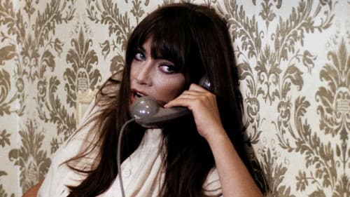 Der Tollwütige Bild 7