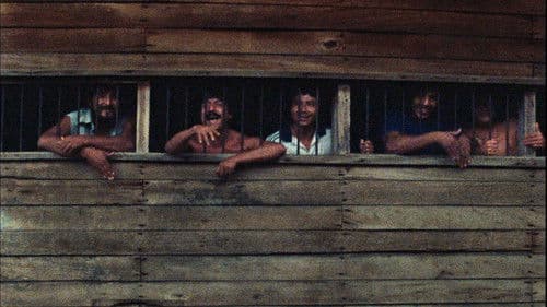 Sepa - Nuestro Señor de los Milagros Bild 2