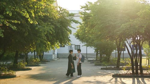 ความลับในคืนฤดูร้อน Bild 8