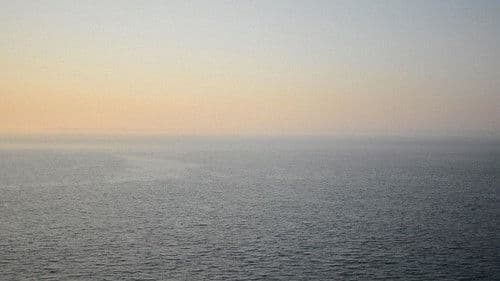 Vilja til å handle forhasta Bild 1