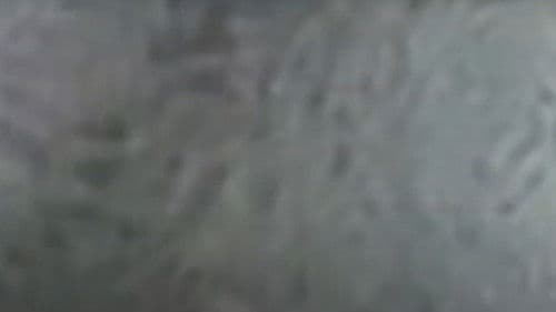 Brower's Blog Bild 1