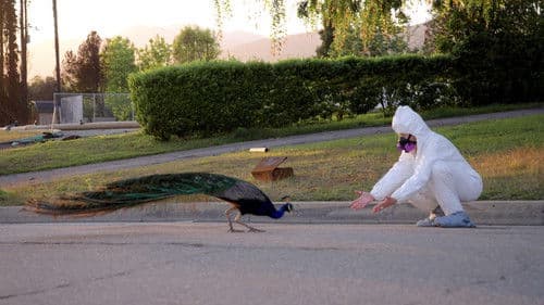 All the Walls Came Down Bild 2