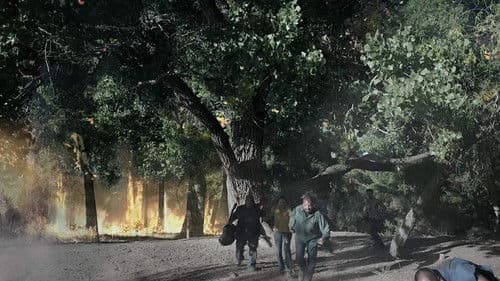 Hypercane - Der 800 kmh Mega-Sturm Bild 1