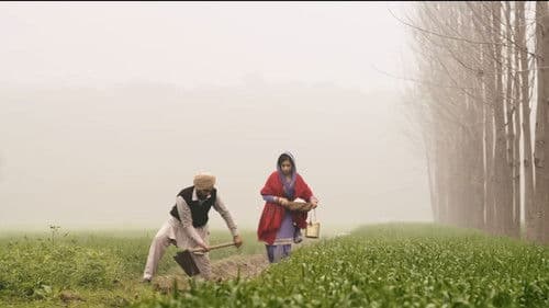 Bajre Da Sitta Bild 3