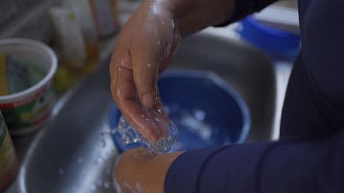 Ciclo de Vida Bild 2