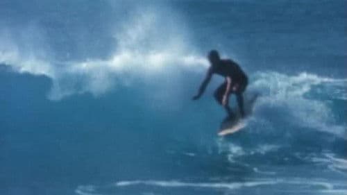 Surfing Hollow Days Bild 4