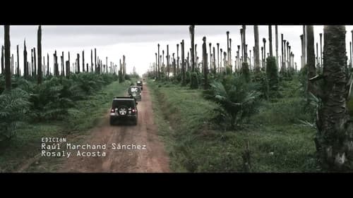 Biodegradable Bild 1